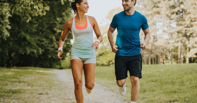 Verticle Vibration Plate image